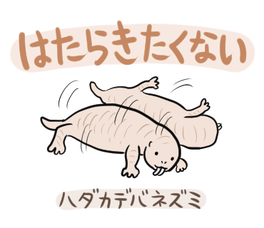 ぬまがさワタリ 一応あけおめイラスト的なやつも描いていたが なんか疲れちゃったから明日でいいや T Co Adt7inno3a Twitter