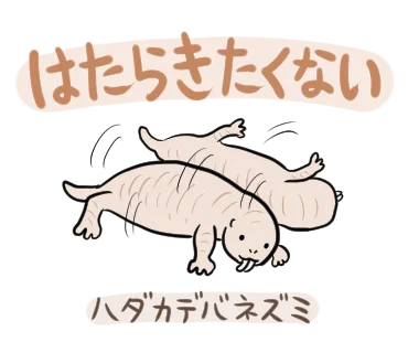 ぬまがさワタリ@特別展「鳥」大阪展（〜6/14） on X
