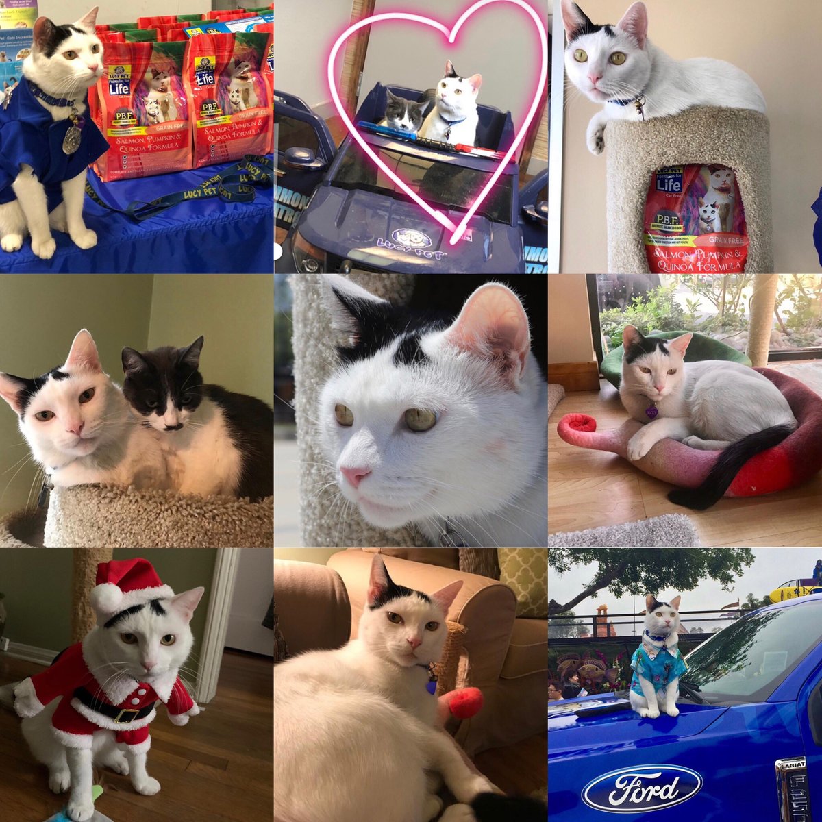 Dear 2019, Thanks for the memories!! #topnine2019 #happynewyear2020