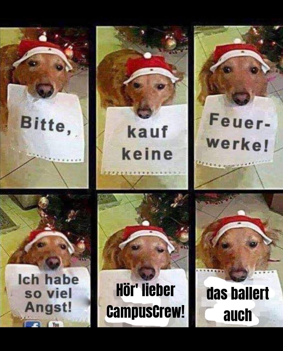 Campus Crew Passau tweet media