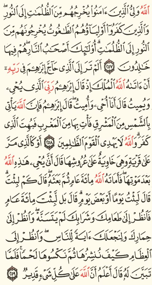 AsalaKhaled10's tweet photo. اقرئوا على روح الشهيد محمود البنا وادعوله بالرحمه فضلا 
#حق_البنا_رفض_الاستئناف https://t.co/eCKpgyKAzU