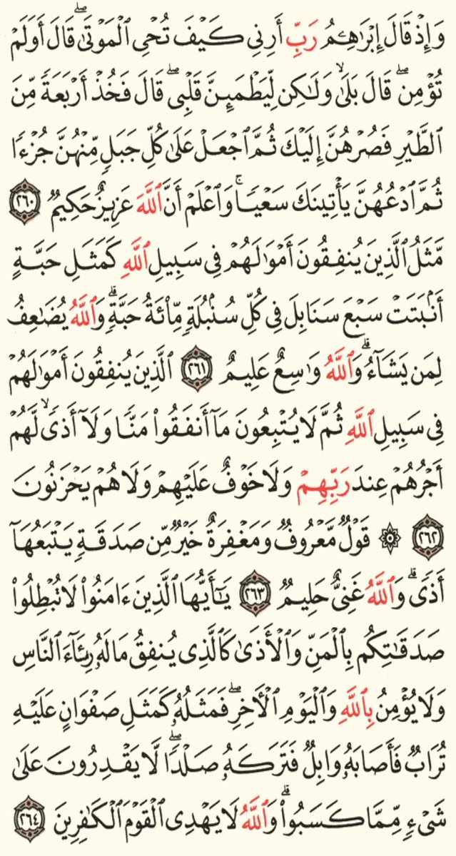 AsalaKhaled10's tweet photo. اقرئوا على روح الشهيد محمود البنا وادعوله بالرحمه فضلا 
#حق_البنا_رفض_الاستئناف https://t.co/eCKpgyKAzU