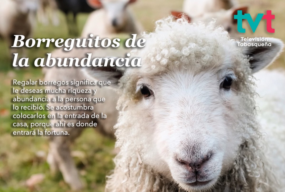 TVTenlinea's tweet photo. #MiRitual ¿Quieres amor, dinero y abundancia para el #AñoNuevo2020? Si la respuesta es sí debes de saber que existen varios rituales que, aseguran, podrían ayudarte a conseguirlo.

Conoce el ritual del borreguito de la abundancia👇 https://t.co/pzHgGmXhMv