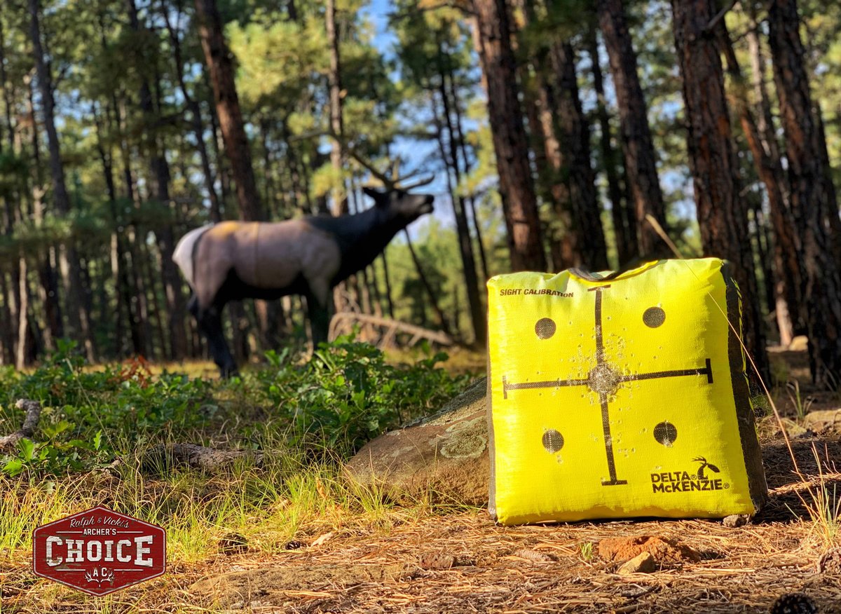 ralphandvicki's tweet photo. Practice makes perfect with our Delta McKenzie Targets 🎯
#RalphandVicki #DMtargets https://t.co/jcvybeWiE7