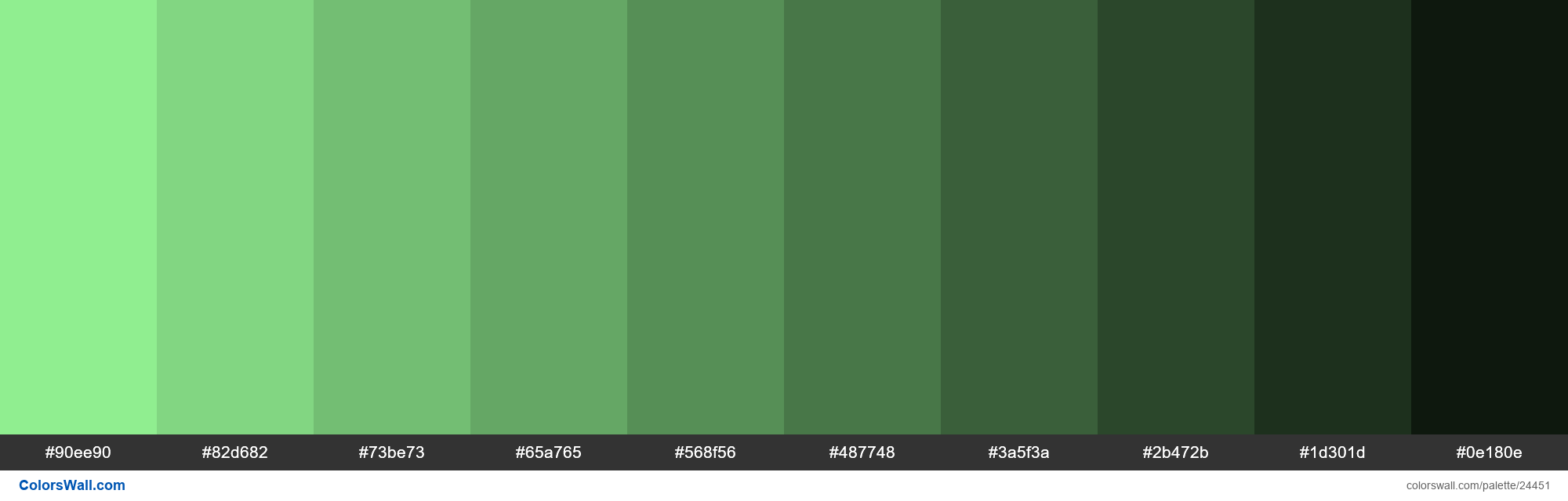 colorswall on X: Shades of Light Green #90EE90 hex color #90ee90, #82d682,  #73be73, #65a765, #568f56, #487748, #3a5f3a, #2b472b, #1d301d, #0e180e  #colors #palette   / X