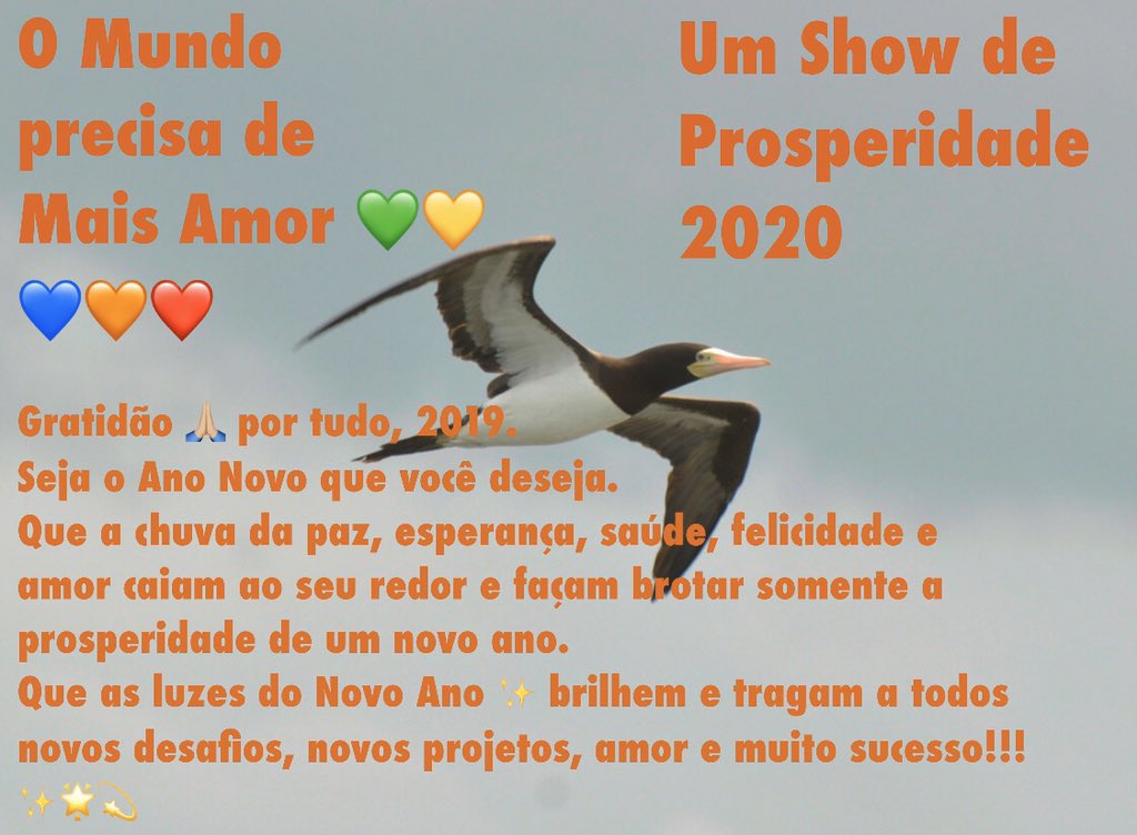 NeivaMeira's tweet photo. https://t.co/8YBv9viFg8