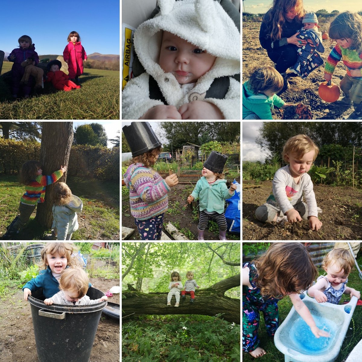 Growing Up With Nature tweet media