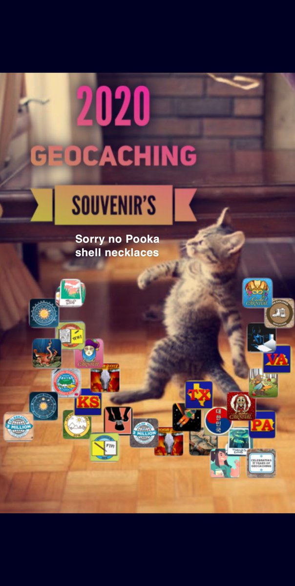 This Is Geocaching tweet media