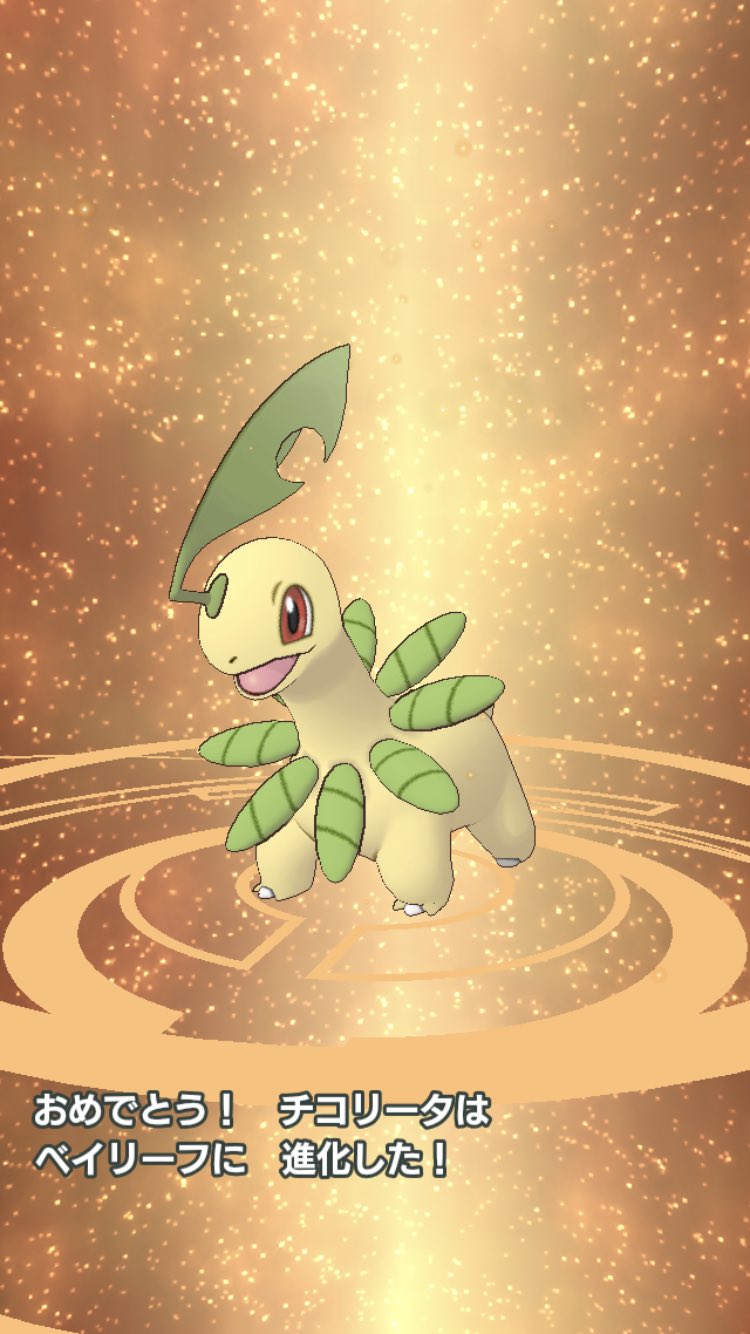 スラヨシ アンテ ポケダン空ネタバレしないでね コトネのベイリーフがメガニウムに進化 きらめくハートのリーフストームにバディーズわざが変化 T Co Qn8b8mnxhe Twitter