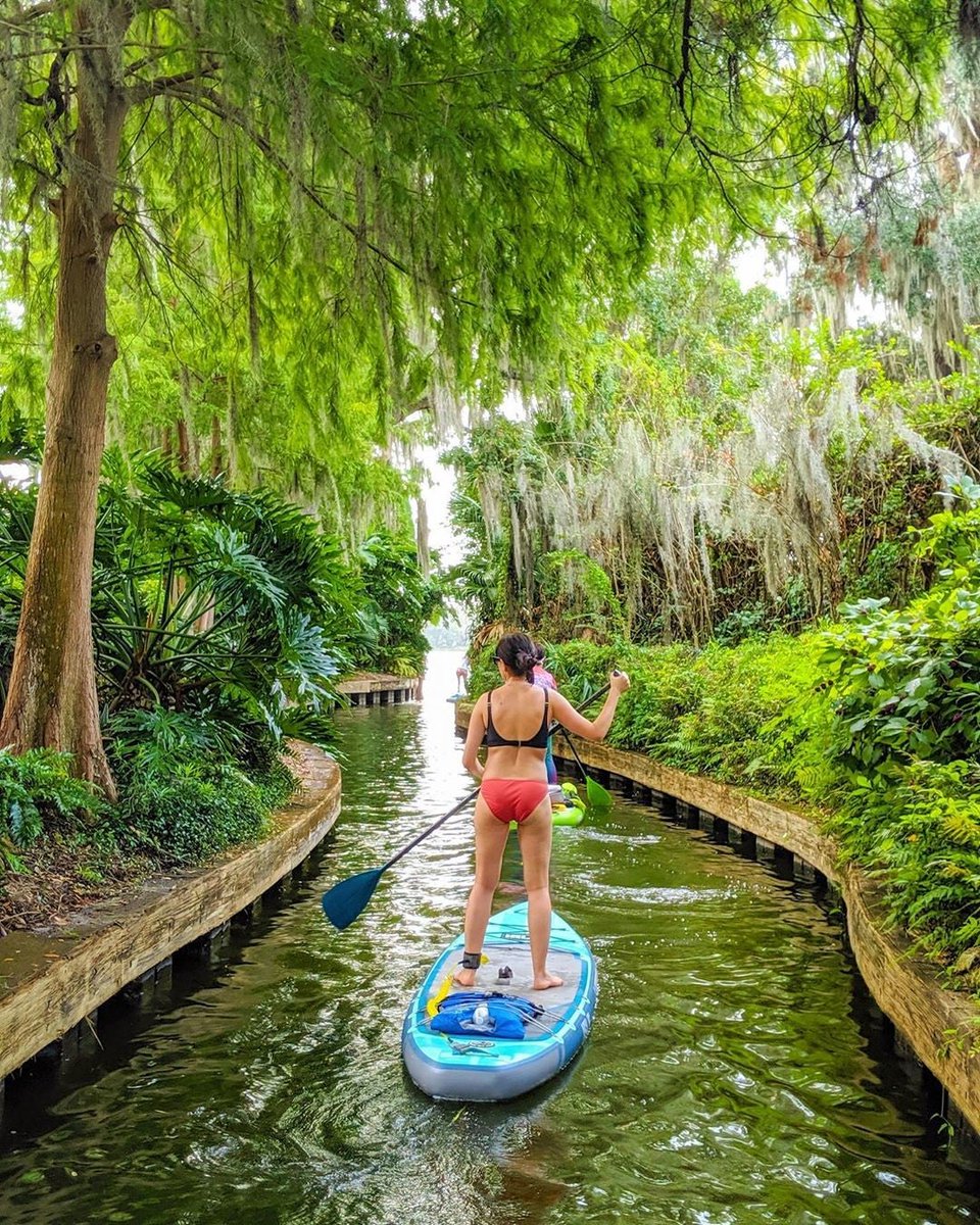 isleboards's tweet photo. Heading into 2020 the best way we know how! 
https://t.co/igiBs70YqK https://t.co/8D7gXOenei