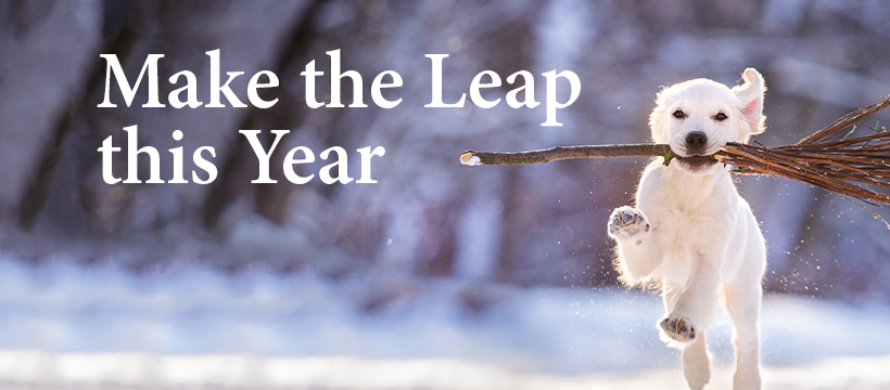 Wishing all our customers past, present and future a very Happy New Year from the <a href="/SpencersNForest/">SpencersNForest</a> team. If you are looking to make the leap in 2020 please do get in touch with us for an informal no obligation chat #NewYearsEve