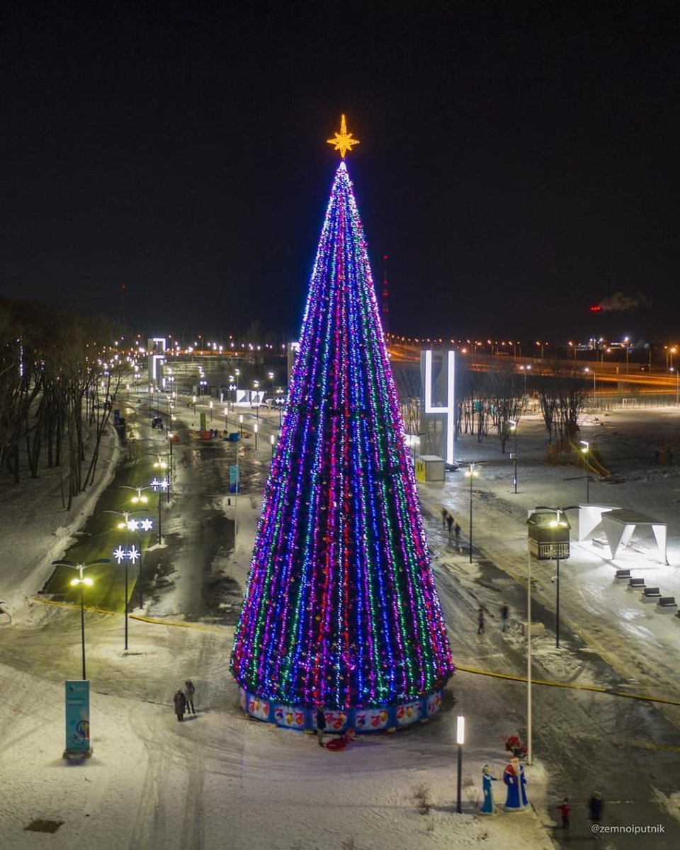 где продают елки в самаре