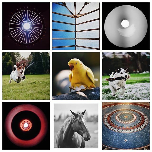 nathan4887's tweet photo. I N S T A - T O P - N I N E 
_
_ _ _ _ _ 
_ _ _ _ 
_ _ _ 
_ _ 
#instagramtop9of2019 
_ _ 
_ _ _ 
_ _ _ _
_ _ _ _ _ 
_
#nikonschoolsa #capetown #photographylife #thruthelens #lexarmemory #capetownmag #photooftheday_sa #ECLECTIC_SHOTZ  #randommagazines #al… https://t.co/7qkNkqw5PO https://t.co/Rvu0z4MUyd