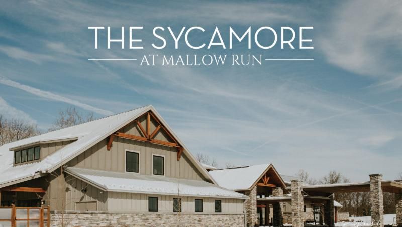 sycamoremallow's tweet image. New Year, New Beginnings conta.cc/2Sweo6b