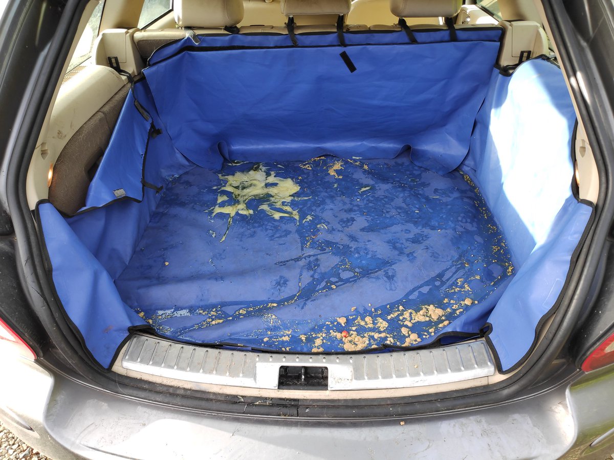 Michael McNabola tweet media