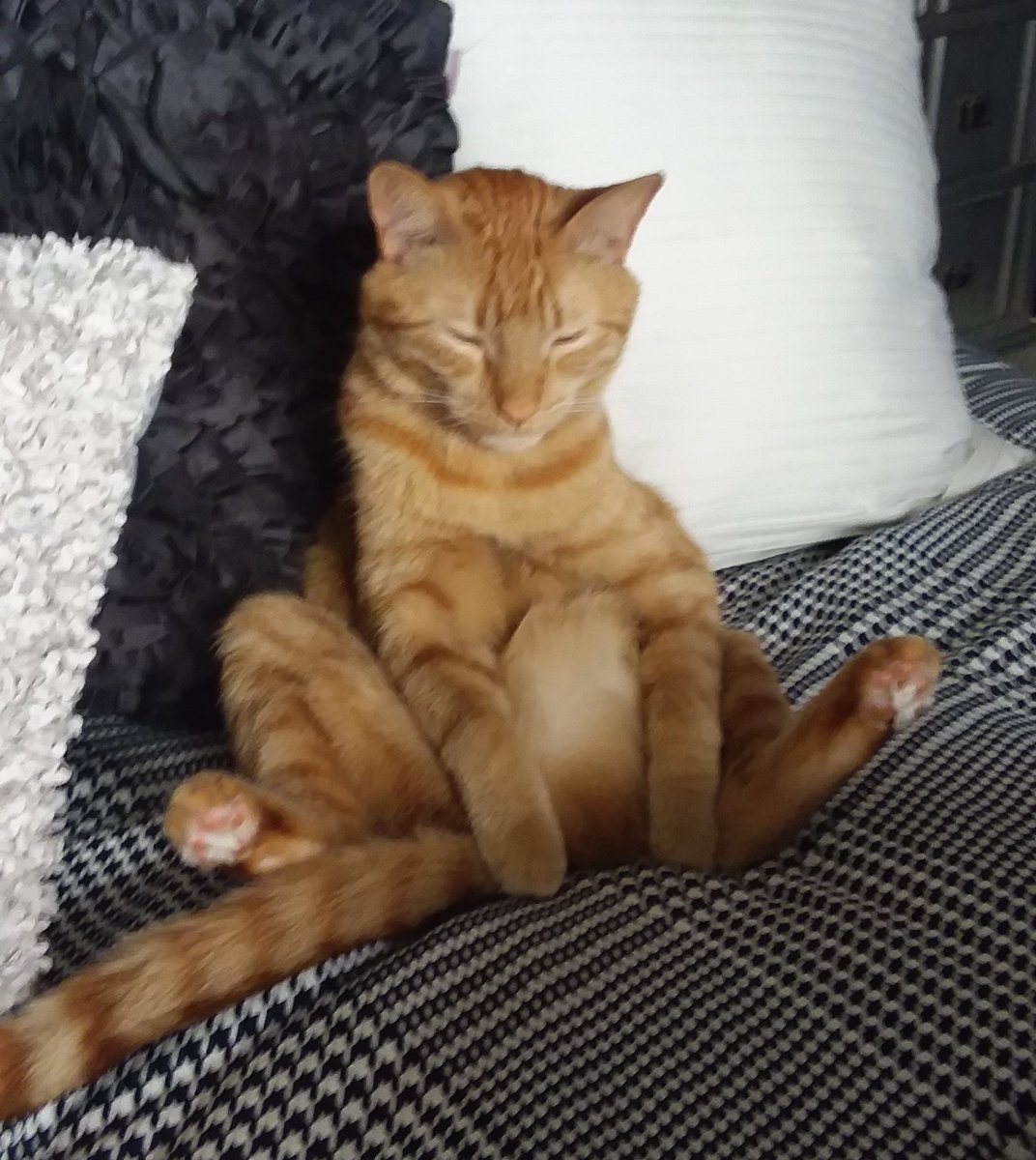 My countdown isn't to 2020...it is back to night shift after 12 years!  This may be my new look for a few days!  #struggleisreal #nightshift