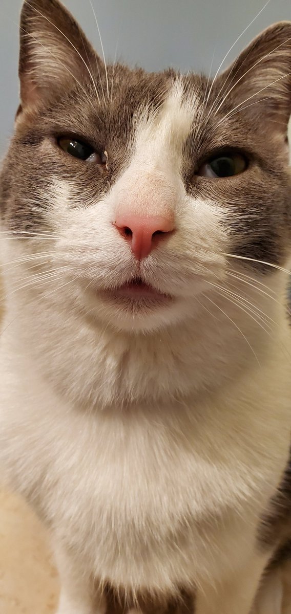 Mr. Sardonicus tweet media