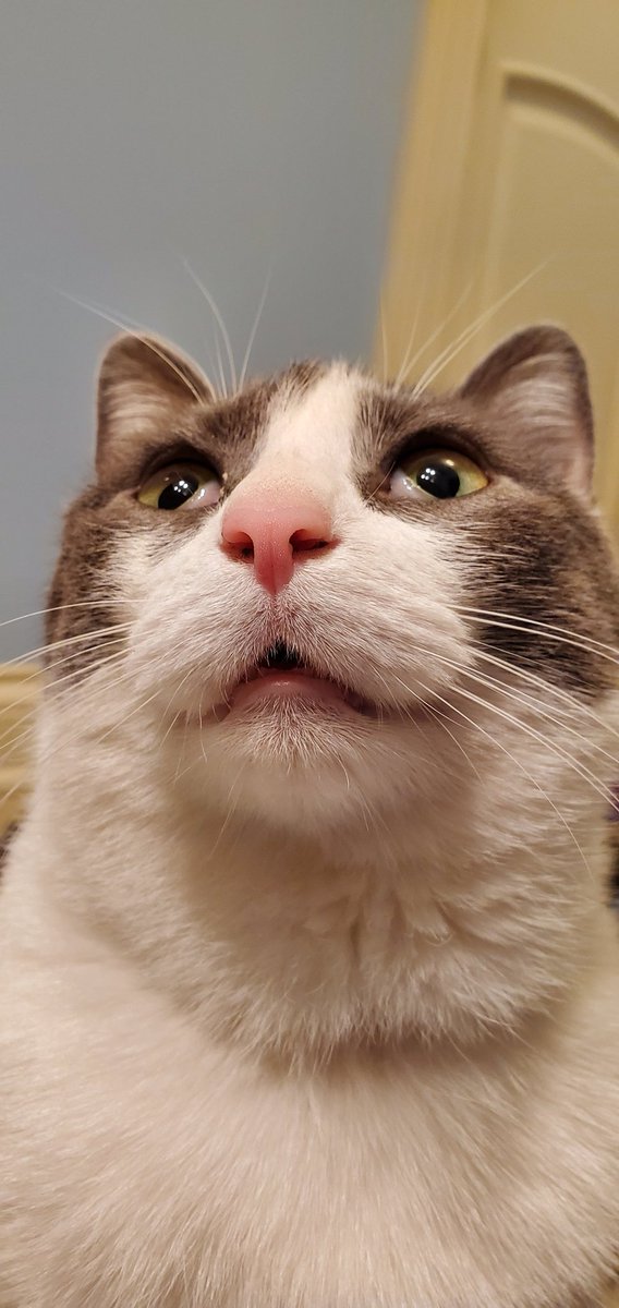 Mr. Sardonicus tweet media