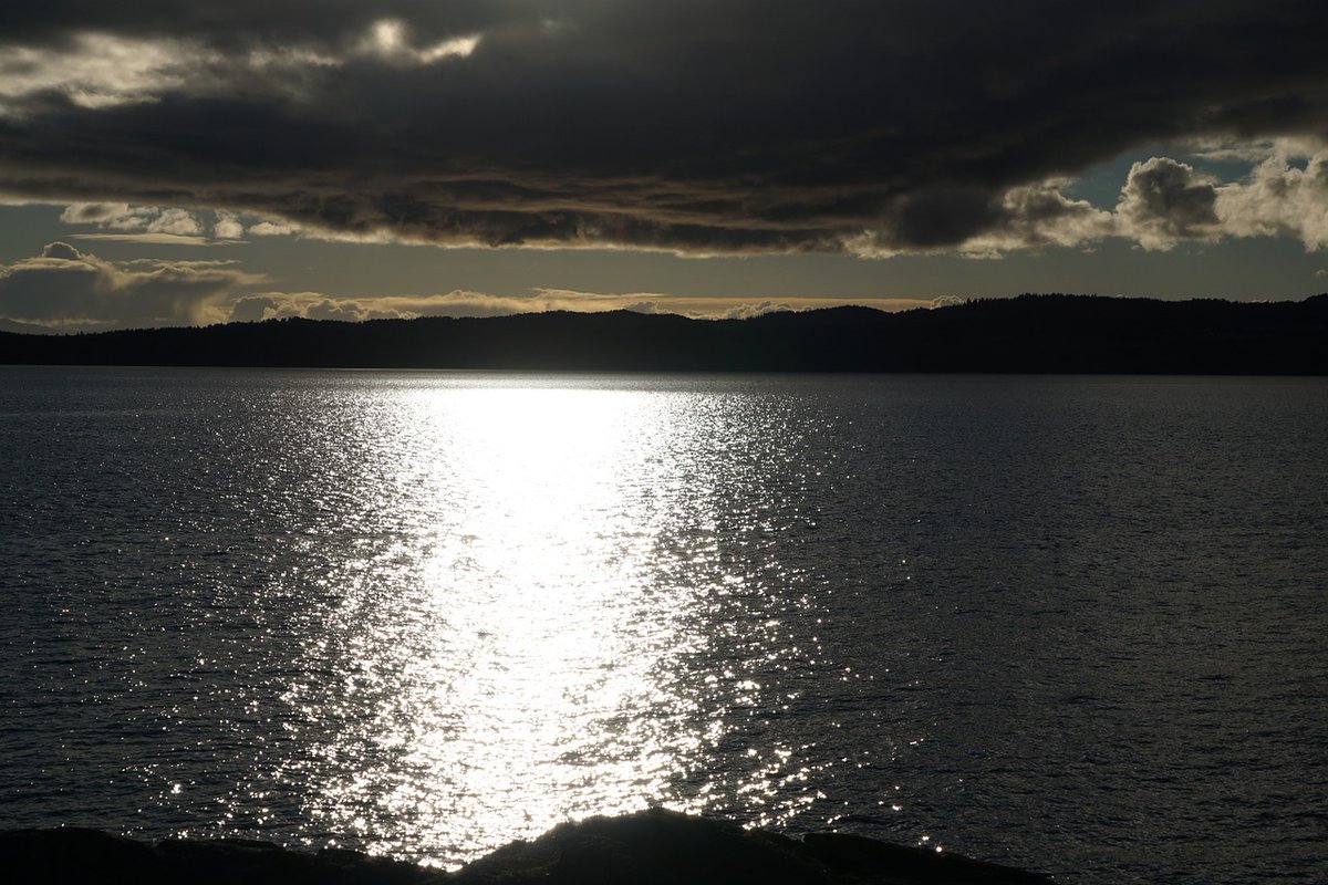 OswegoVictoria's tweet photo. Cheers to the last sunset of 2019. Happy New Year, Victoria! #HappyNewYear #2020 #VictoriaBC #yyj #exploreVictoriabc #newyearnewyou https://t.co/3Pf2i54h04
