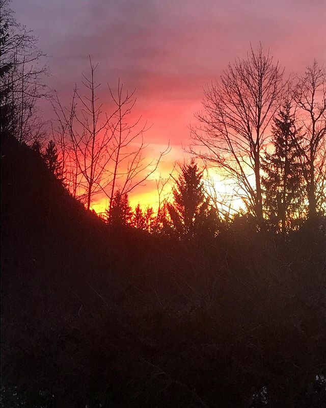 HaymannE's tweet photo. Shall 2020 be on fire 🔥 ! 
Happy new year everyone ! https://t.co/TcVjWznVYv https://t.co/fWuxBAI0UK