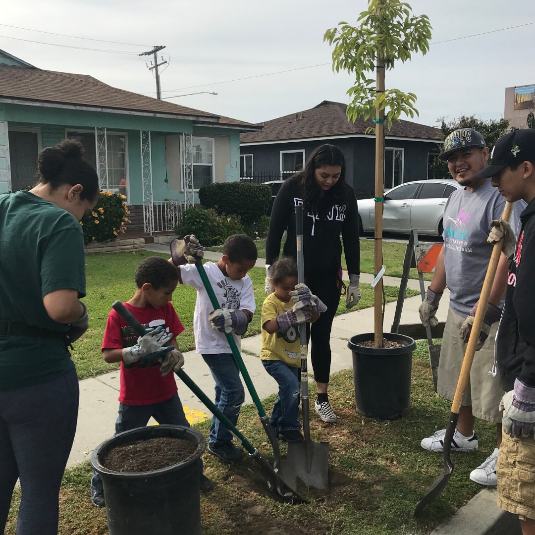 fromlottospot's tweet photo. This year we planted 🌳s & next year we will be planting a LOT more! Before the year ends, we invite you to help us reach $10k towards our #20BY2020 goal & help us finish restoring our office #ceilingleak #slumlord. Donations made TODAY will be MATCHED! https://t.co/bo8ZJodYTC https://t.co/pnDKTcXqh1