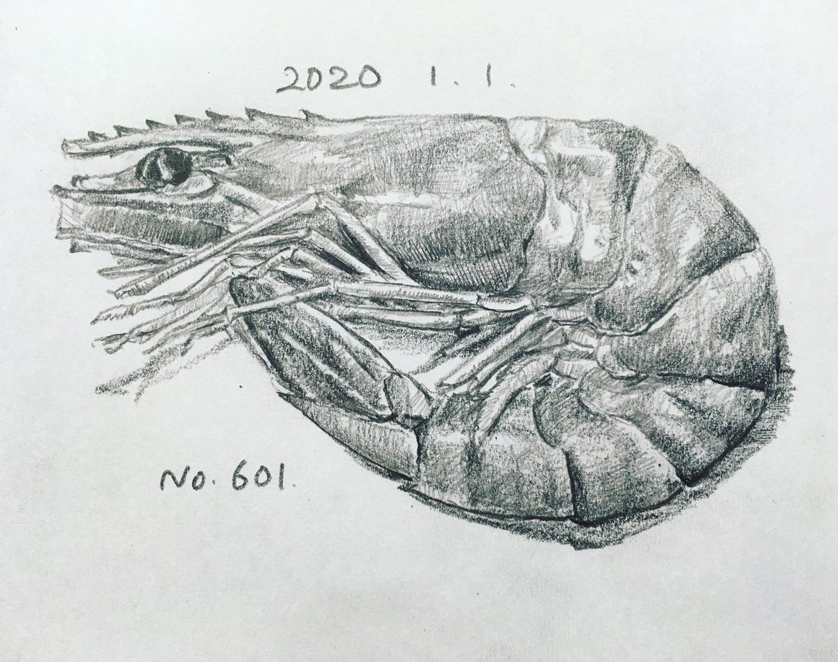 ট ইট র らっきー 毎日デッサン計画 デッサン スケッチ 鉛筆画 美術 描いてみた 毎日デッサン計画 Dailydrawingplan Dessin Drawing Sketch Art Artwork Pencildrawing Pencil 海老 煮海老 おせち料理 Shrimp Boiledshrimp Osechi ট ইট র らっきー 毎日デッサン計画 デッサン スケッチ 鉛筆画 美術 描いてみた 毎日デッサン計画 Dailydrawingplan Dessin Drawing Sketch Art Artwork Pencildrawing Pencil 海老 煮海老 おせち料理 Shrimp Boiledshrimp Osechi