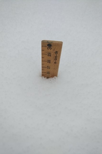 lundquist777's tweet photo. 25 cm at Joe Rich... Some of the highest terrain in Kelowna. #BCStorm https://t.co/bsROEVMgXd