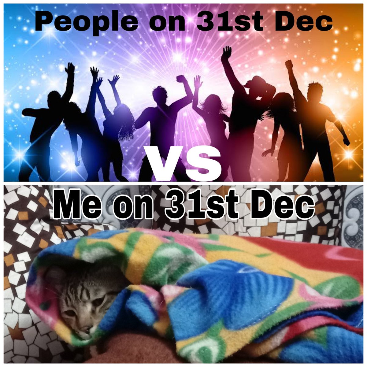 _shweta19's tweet photo. #NewYearsEve #byebye2019 #Welcome2020 #itstoocold #party  #ilovemycat #Mihu https://t.co/UO3CMyl7O4