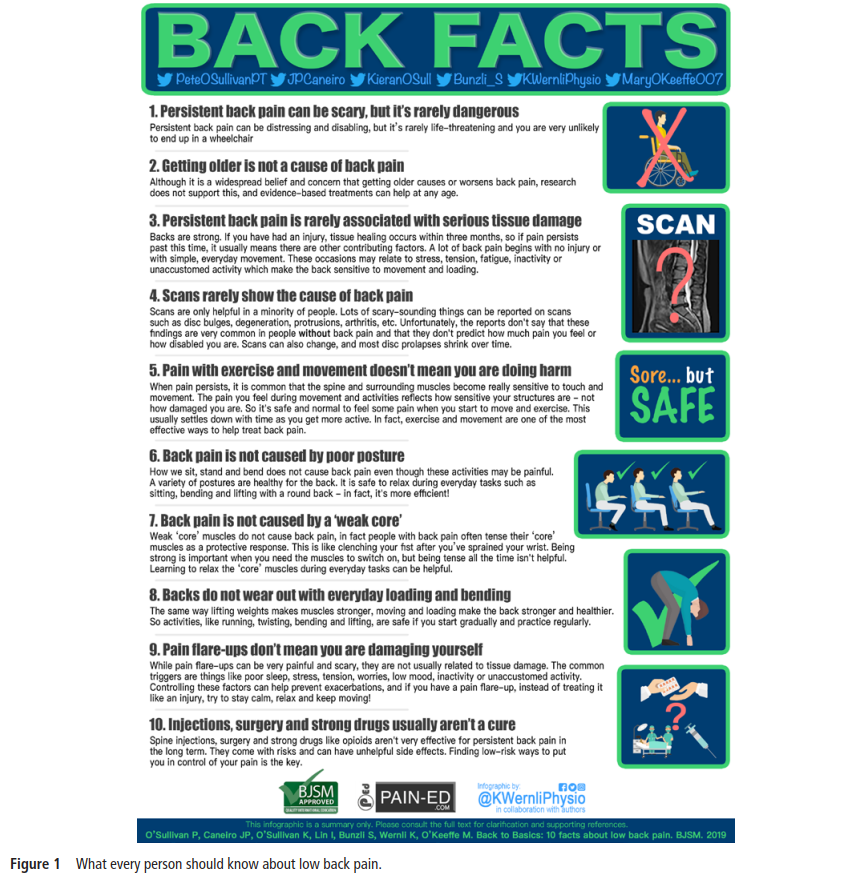 PhysioMeScience's tweet photo. Back to basics: 10 facts every person should know about back pain 

👀👇👇👇👀

@PeteOSullivanPT @jpcaneiro @kieranosull @KWernliPhysio @MaryOKeeffe007 

https://t.co/97C6QO8Osk https://t.co/tWDCpF2SP8
