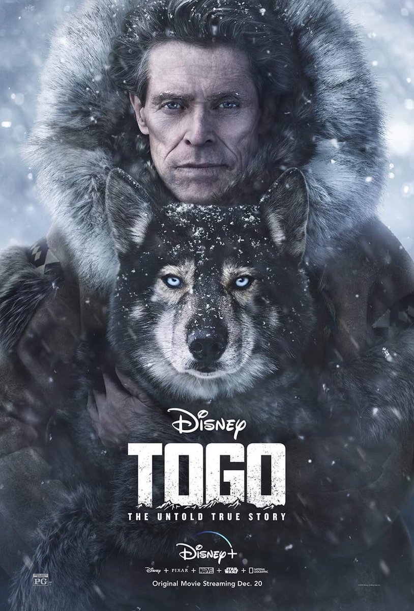 bslj_'s tweet photo. TOGO

فلم مُقتبس من قصة حقيقية.

"توقو" كلب ضعيف صغير وغير قابل لأترويض، يمتلكة نرويجي يُحاول طردة اكثر من مره بس مافيه فايدة. ولكن يتم ارسال النرويجي وكلبة توقو في مهمه انقاذ بعد تفشي وباء في قريه شمال الاسكاء.

فلم ققققوي و ممتع حتى النهاية😍 https://t.co/yO5PUjGvVJ