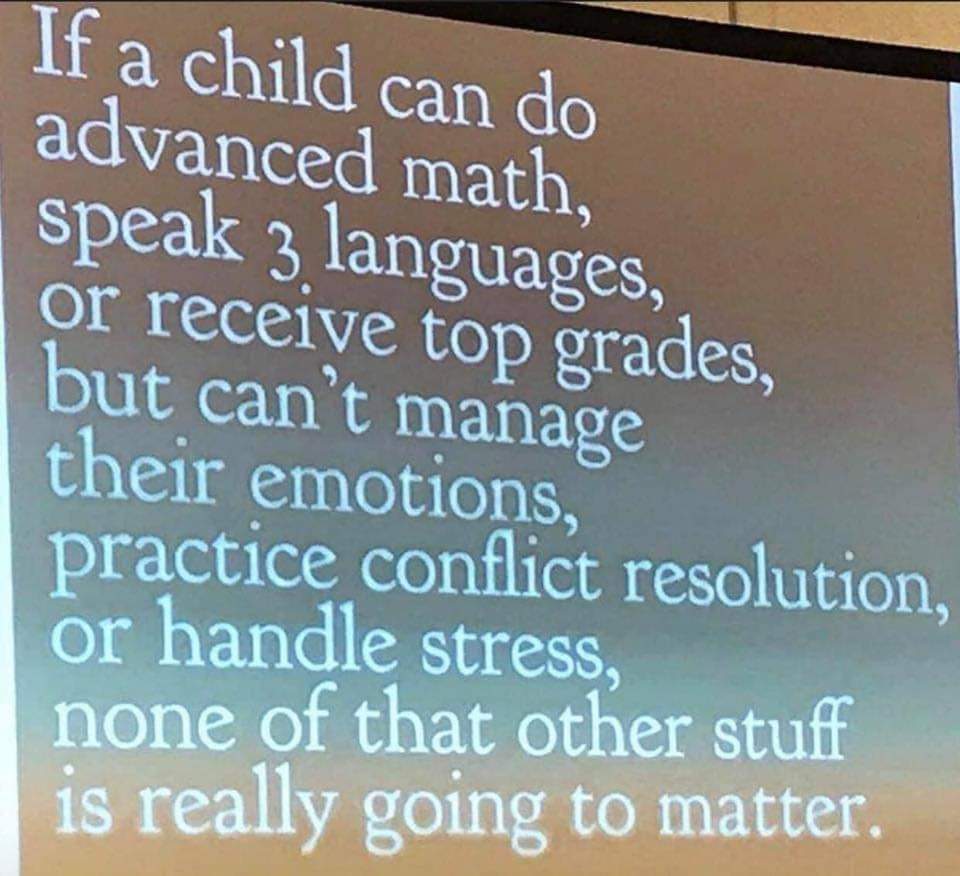 teachergoals's tweet photo. Social-emotional skills are just as important, if not more important, than academic curriculum. 
#SEL #HackingSchoolDiscipline https://t.co/4uaiwFhrHh