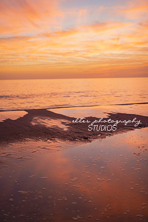 EllesPhoto's tweet image. A beautiful beach sunset this past week makes us super excited for all of our Summer sessions! Including our wedding we just booked with our sweet bride Maddie P in PCB!! @ellesphoto.com  #beachweddings #panamacitybeach #alabamaweddings #floridaweddings #northalabamaphotographer