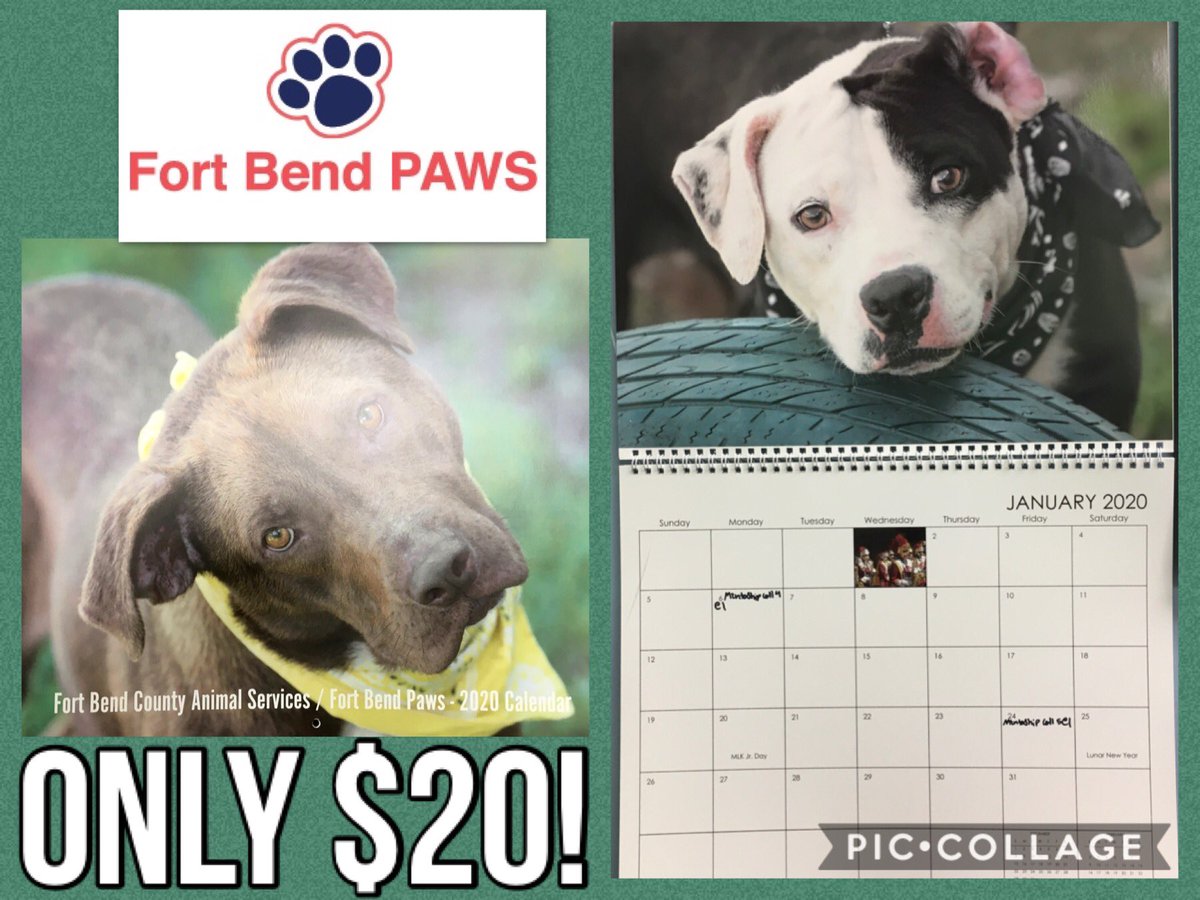 FBCASTX's tweet photo. You can’t ring in the #newyear without a new #calendar! We still have #2020calendars featuring #pets from FBCAS available! 

They’re only $20, and all proceeds go to @BendPaws to #help #shelter #animals. 

Stop on by the shelter to pick one up. https://t.co/mJXUYP0TvN