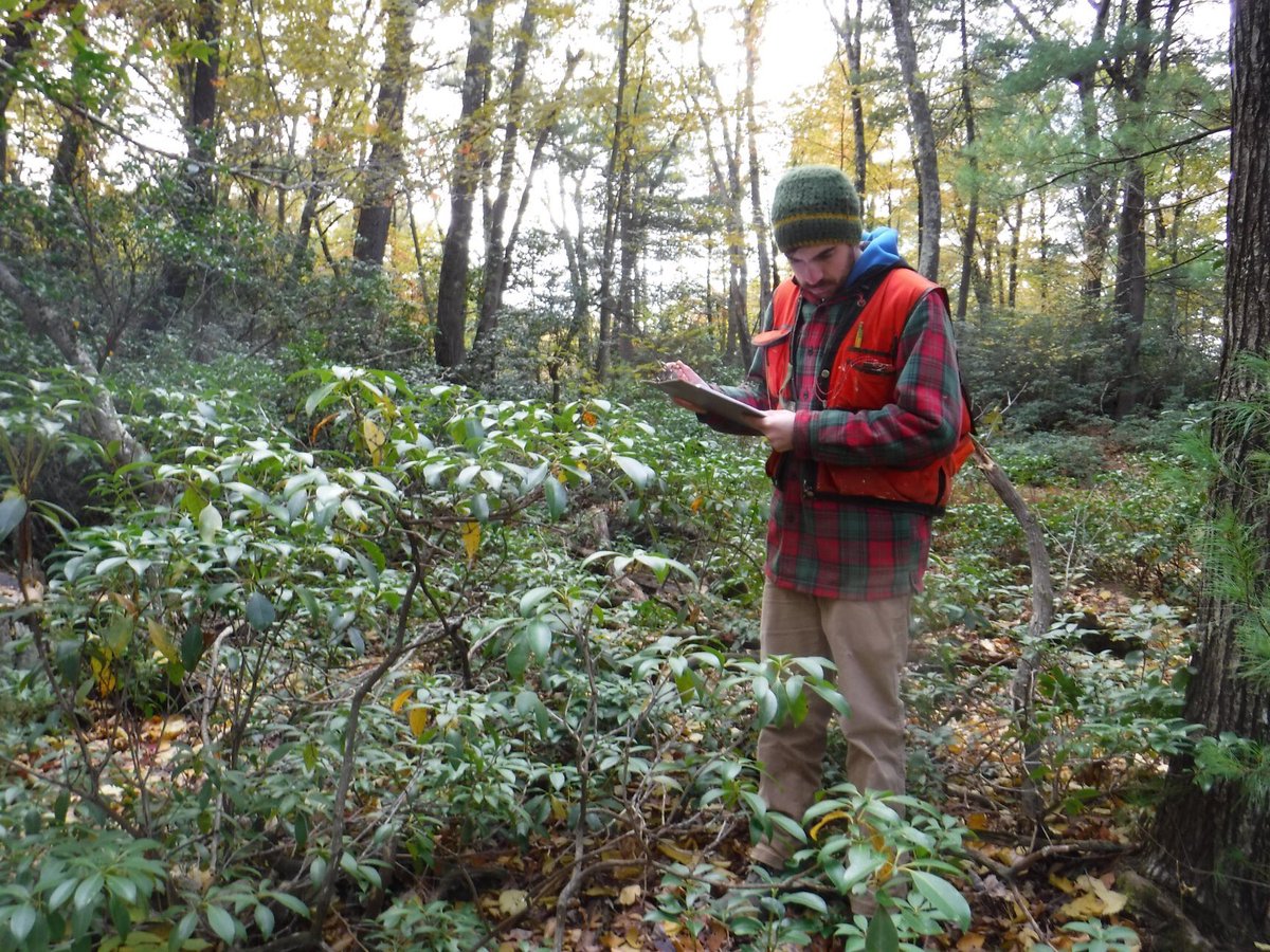 foresters's tweet photo. Foresters. All day. Every day. Here’s to even more talk of forests, foresters, and forest management in 2020! #forestproud #NewYearChallenge #SAFMembers https://t.co/ZJrxCcYob5
