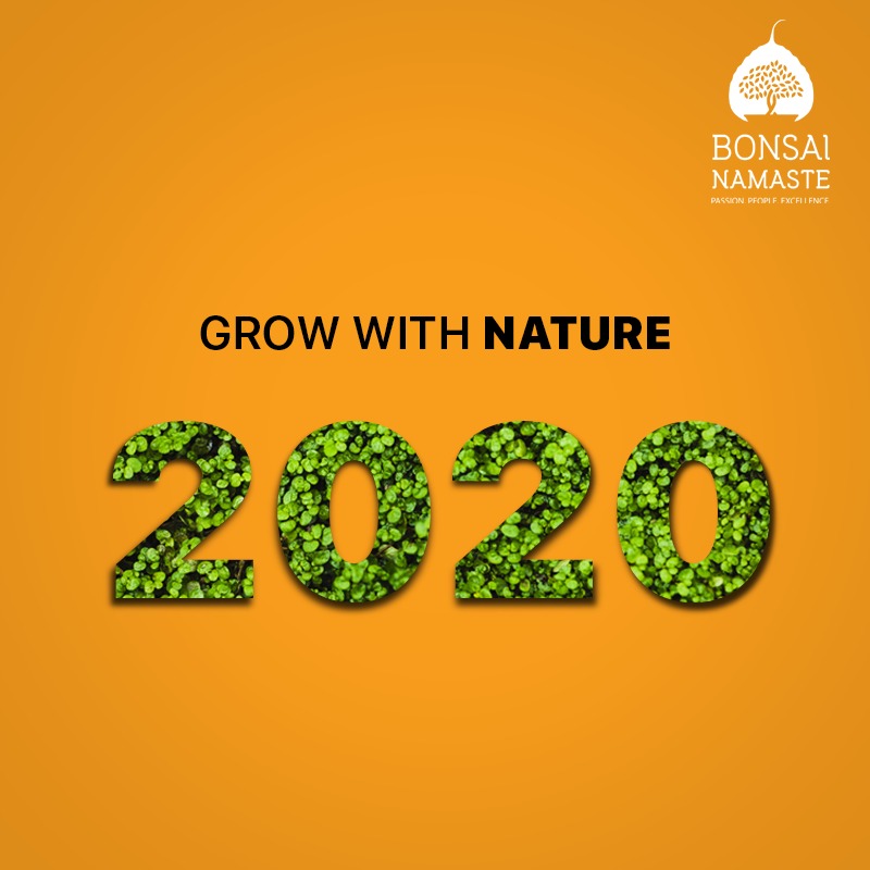 This #NewYear, let’s pledge to plant more trees and grow with our mother nature.

#HappyNewYear #Welcome2020 #BonsaiNamaste #GrowWithNature #BonsaiPlants #Nature #Bonsai
