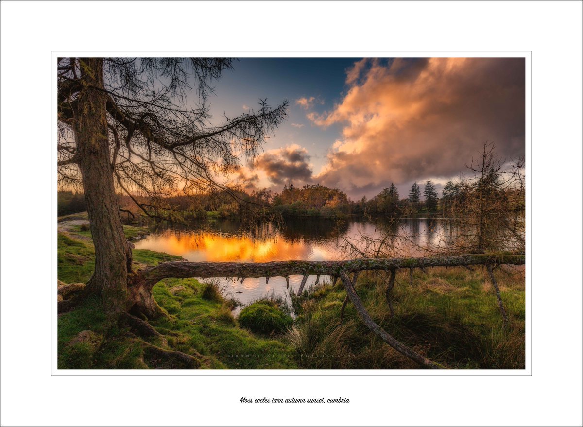 johnbleakley's tweet photo. Moss Eccles Tarn autumn sunset, rather pleased with how this late in the day handheld shot turned out.#MossecclesTarn @StormHour @WildLakeland @Cumbria_Lakes @PictureCumbria @NotJustLakes @lakedistrictnpa @cumbriapictures @FeatureCumbria @CumbriaArt @CanonUKandIE #lakes #cumbria https://t.co/7RFAa6JffT