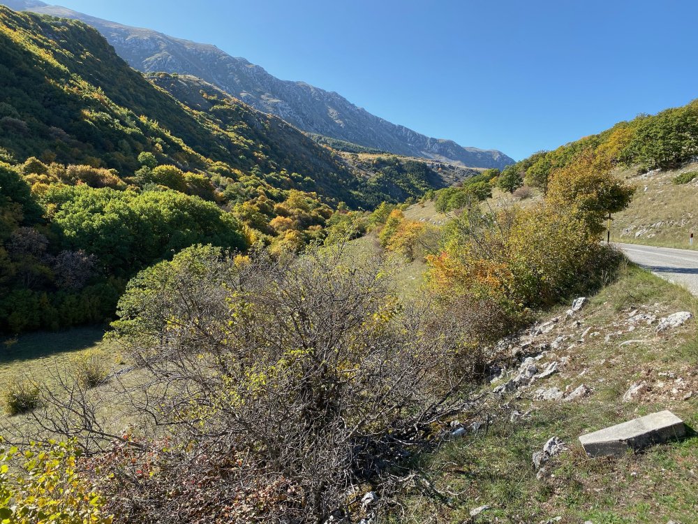 Check out our most recent newsletter! conta.cc/395FFSF