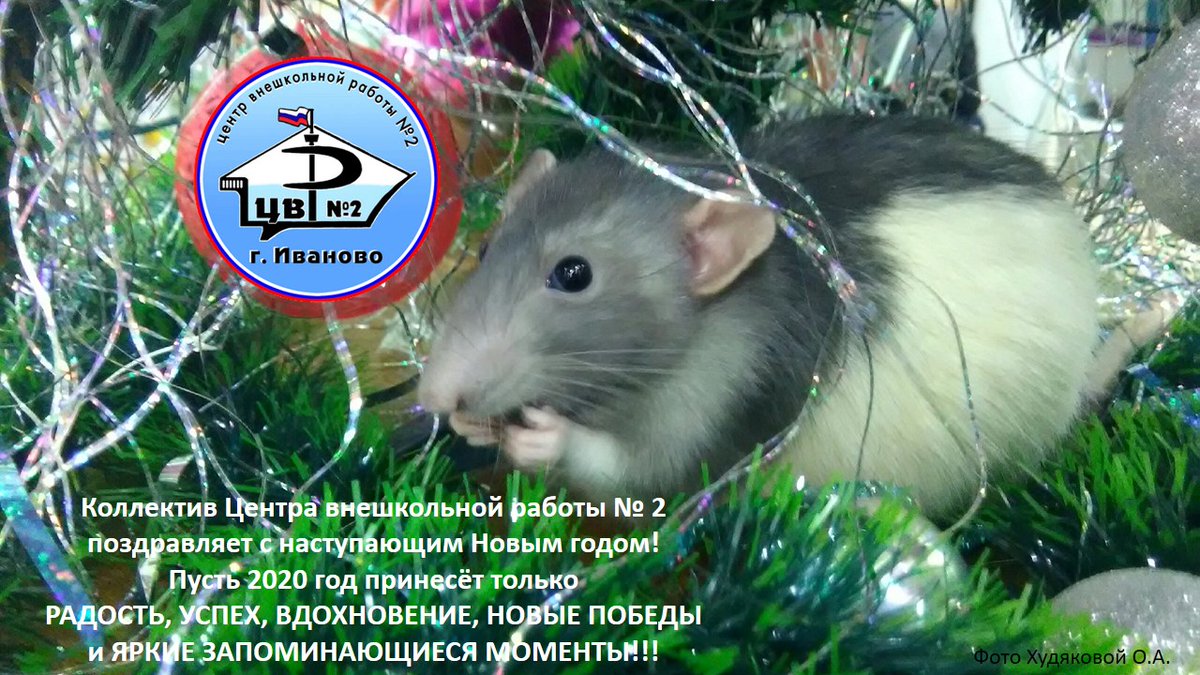 cvr2 (@cvr211) on Twitter photo 