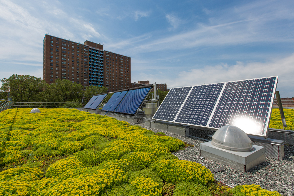 NYClimate's tweet photo. @NYCMayor @dcas @c40cities @cities100report @NYC_DOT In November Local Laws 92 and 94 went into effect, requiring all new buildings or buildings doing major roof renovations to have green roofs or install solar panels, reducing the GHG emissions of the city’s infrastructure and creating green jobs for New Yorkers. #2019ClimateRecap https://t.co/GmlexsPvvb
