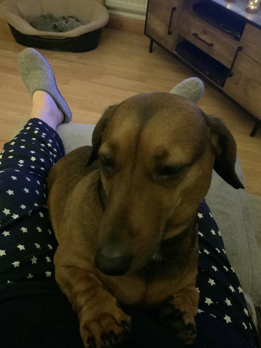 NatalieHopkin2's tweet photo. @catherinerusse2 I’m reading #YouAreThePlacebo drinking #gin and #cwtching this boy while waiting to do a video call with friends across the globe. https://t.co/XYqCkMk90x