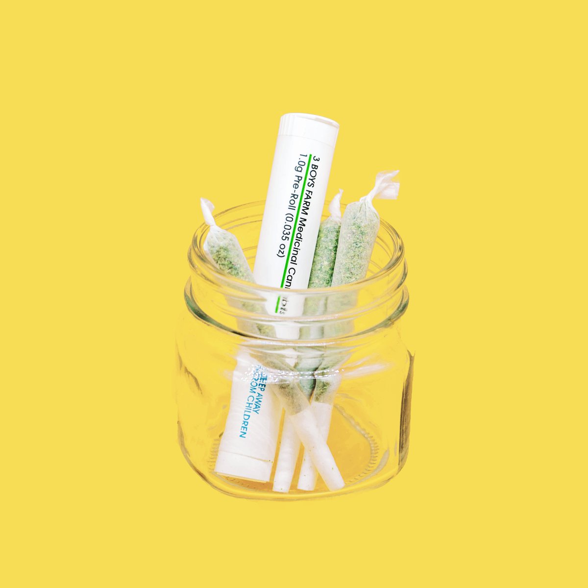 One Plant tweet media