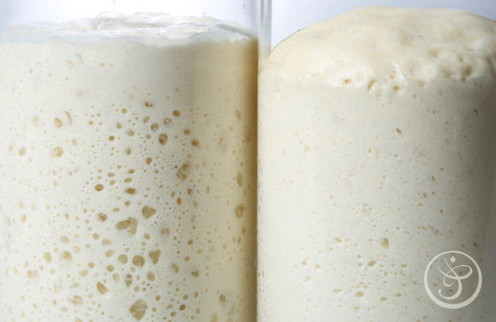 French Pastry School tweet media