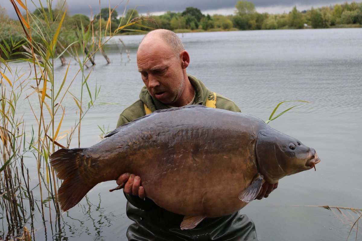 ross_seamark's tweet photo. Plenty more of these please https://t.co/pDYxRQR3me