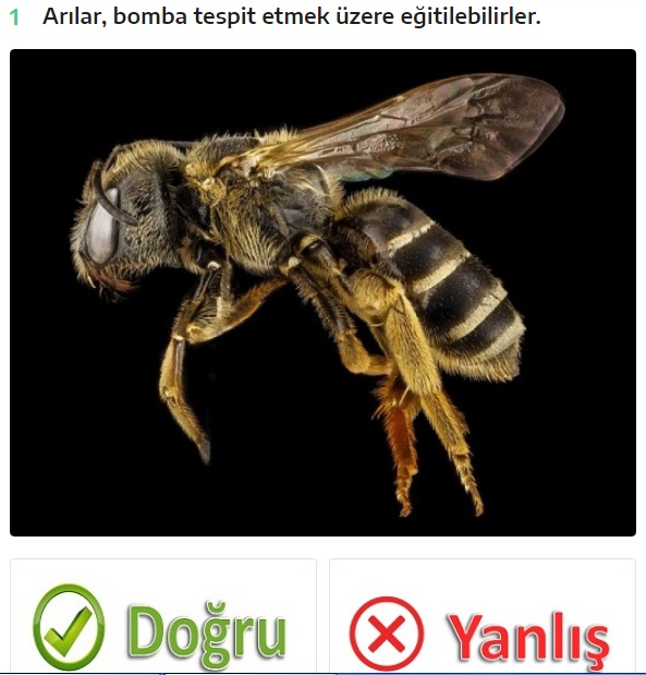EEndedik's tweet photo. Yeni Yılı Eğlenceli Testlerle Bekleyin👉https://t.co/wbjWqKcKWF
#OPuanSilinecek Victoria's Secret #Adana2021egiriyor #MuesluemanNoelKutlamaz Arınç #MutluYıllar Emine Erdoğan #ÇokGüzelHareketler2 #OKupaAlınacak #DecadeChallenge #SALI #osestürkiyeyılbaşı MahkumAcil EşitYasaBekliyor https://t.co/psp9IFq3Yf