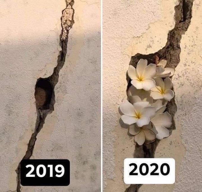 KhAde🇯🇴🇯🇴 (@kkk961121) on Twitter photo 