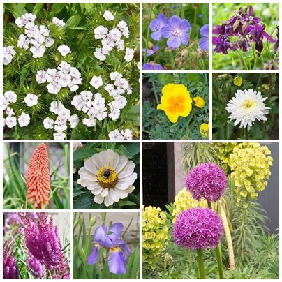 sfsaa_org's tweet photo. #yyj 2019 Garden Volunteer Group by the Numbers... 20 garden areas taken care of...688 bedding and even more bulbs plants installed in the gardens...#volunteering #GardensInVictoria #BCGardens #ExploreBC https://t.co/OiRa1R5rD4