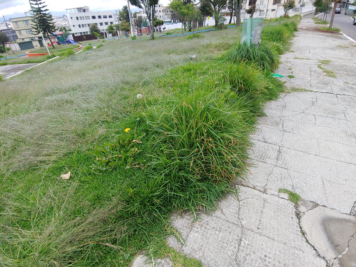 <a href="/LoroHomero/">Jorge Yunda Machado</a> Así recibe el 2020 el barrio del Pinar Alto, al norte de Quito.

Desde que Yunda asumió el cargo, este parque no ha recibido mantenimiento.

Cartas enviadas al <a href="/MunicipioQuito/">Municipio de Quito</a> hasta el cansancio. <a href="/alto_pinar/">Urbanización Pinar Alto</a> <a href="/renebedon/">René Bedón</a> <a href="/santiguarderas/">Santiago Guarderas</a>