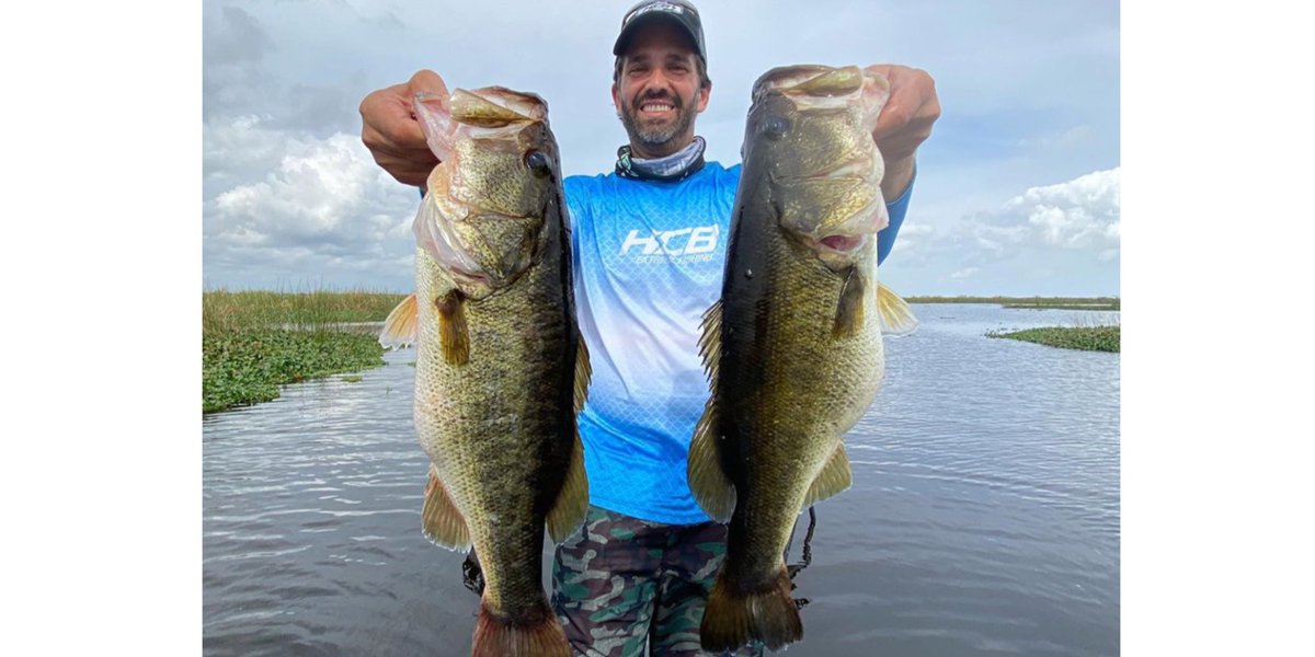 MysterySolvent's tweet image. What is this called?