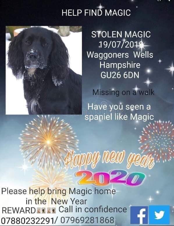 MolliePug's tweet photo. 🆘🆘 💰CASH REWARD💰
for magics return or information that leads us to magic. 
Please help me bring some kind of closure for Magics owners. All information is confidential and I’m grateful for any help.
📞Contact me 07938 071966
📞or 07880232291
💌Findstolentilly@outlook.com https://t.co/0Q09P42bn4