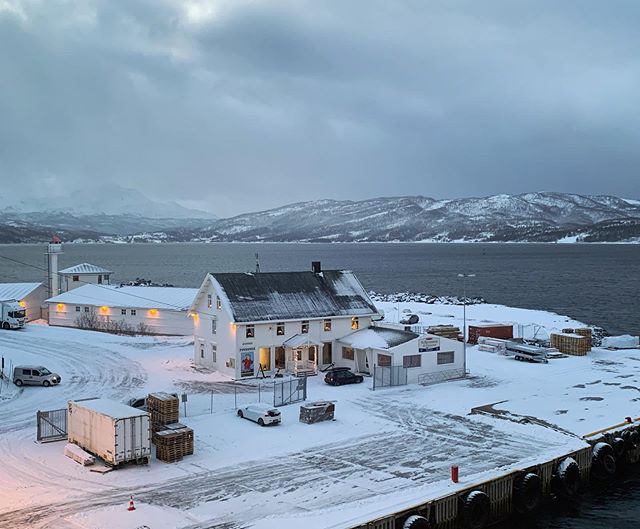 salijji's tweet photo. Frosty In Finnsnes 
#Finnsnes #Norway #arcticadventures #arcticcircle #69degreesnorth #sea #mountains #snow #beautiful https://t.co/B1zHfLfM6T